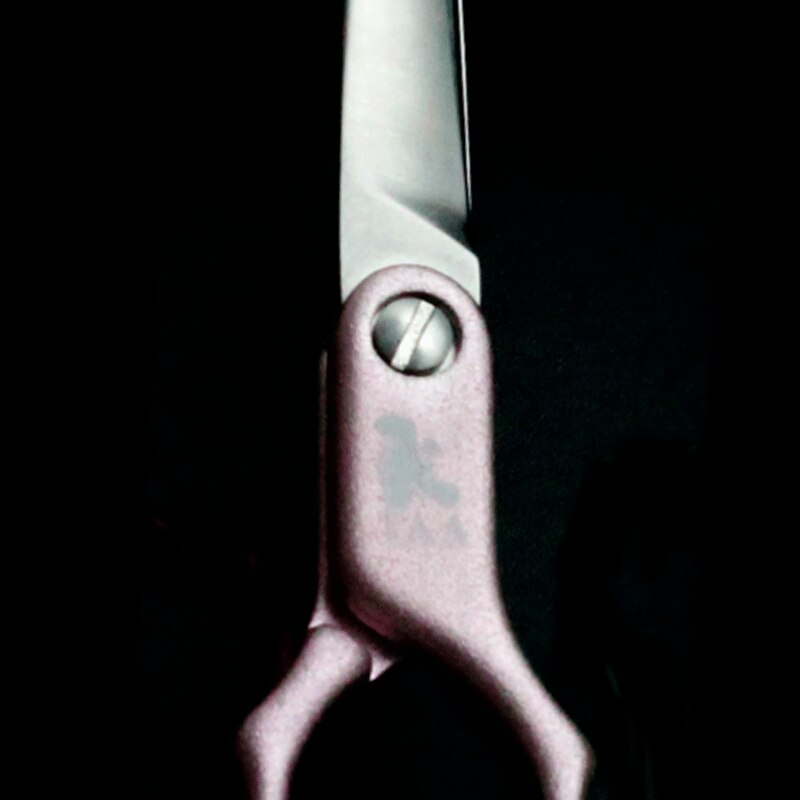 TAA Professional Pet Grooming Scissors